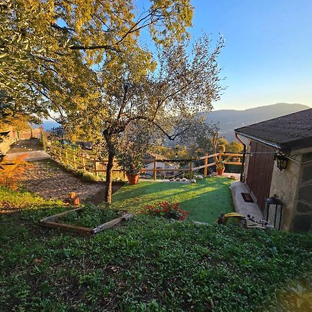 Appartamento La Sosta Al Bagolaro Rapallo Esterno foto