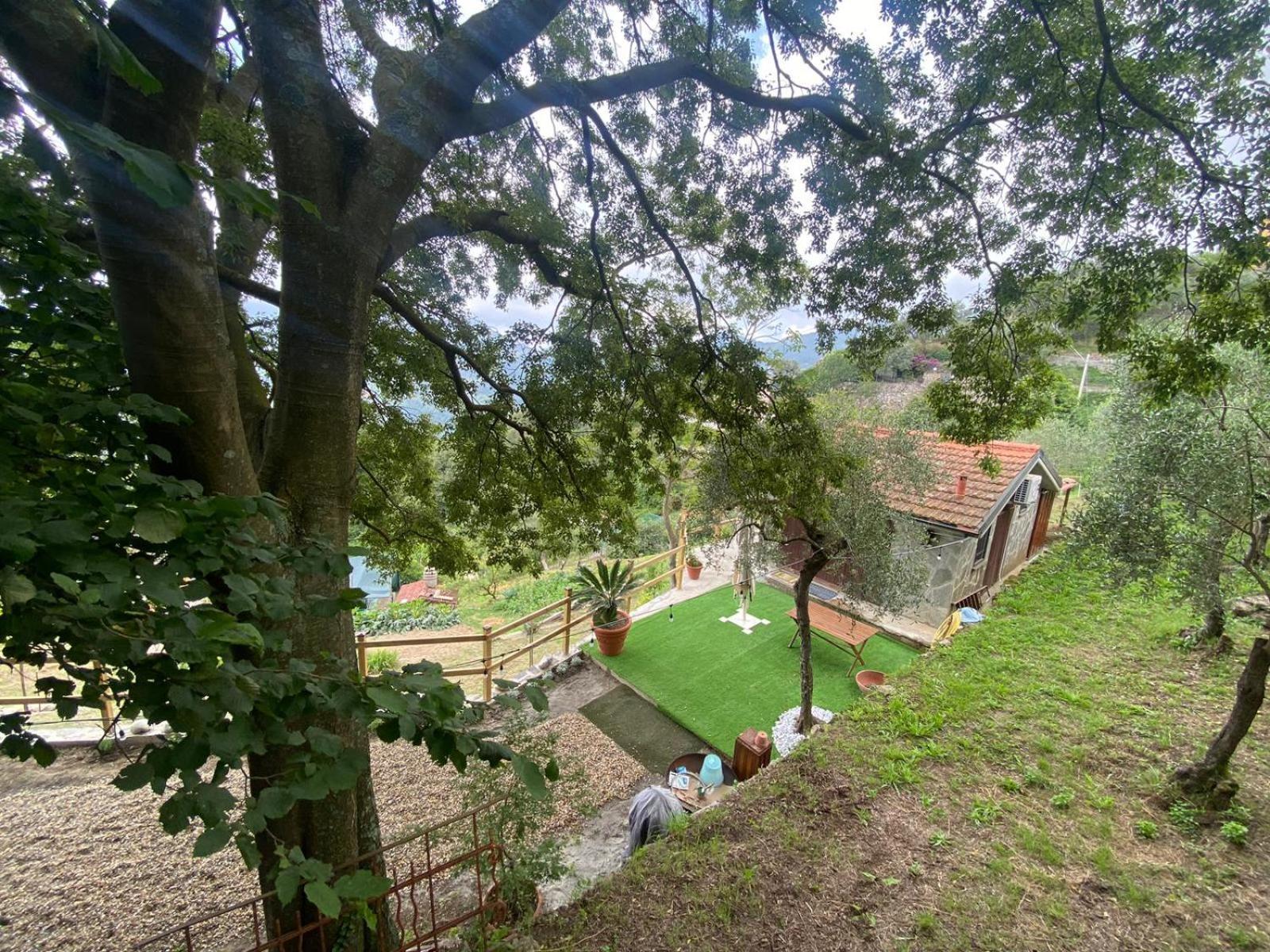 Appartamento La Sosta Al Bagolaro Rapallo Esterno foto
