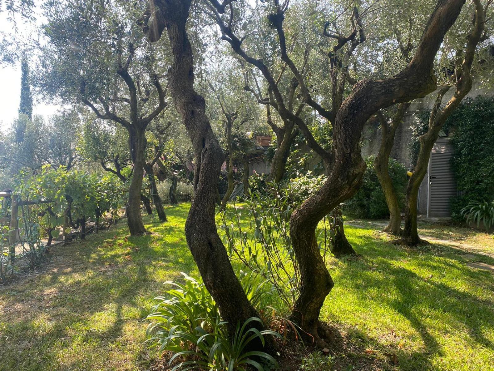 Appartamento La Sosta Al Bagolaro Rapallo Esterno foto